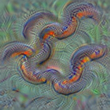 n01728920 ringneck snake, ring-necked snake, ring snake